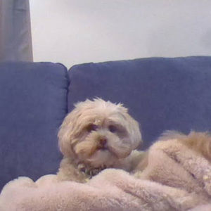 Meet your Posher, Matthew